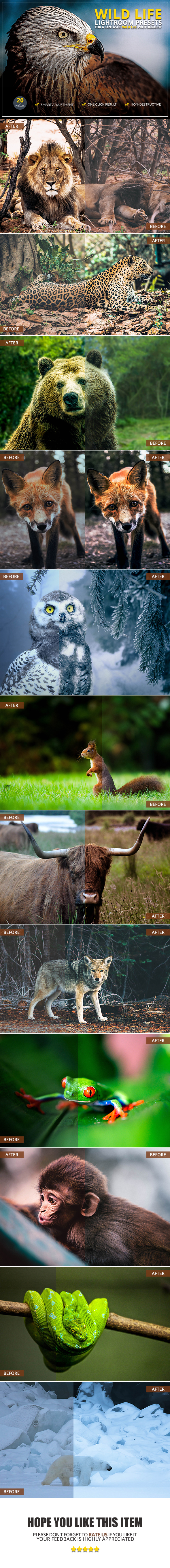 20 Wild Life Lightroom Presets - Lightroom Presets Add-ons