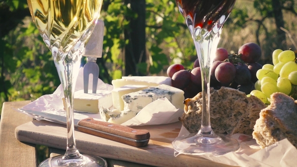 Picnic Outdoors in Vineyards