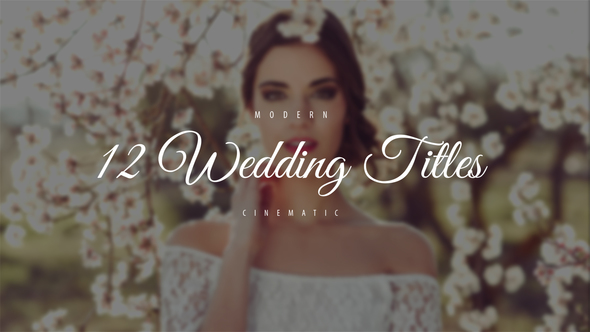 Wedding Titles - VideoHive 22070117