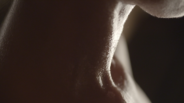 Sauna Spa Therapy Pretty Women in Warm Wood Room alt