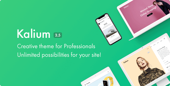 Kalium - Creative Theme for Professionals - Portfolio Creative