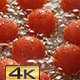 Cherry Tomatoes - VideoHive Item for Sale