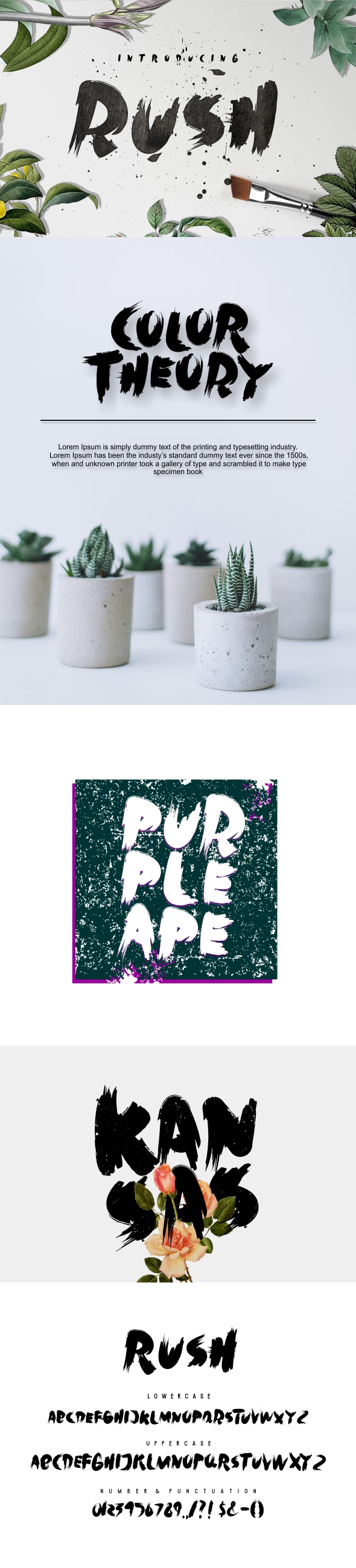 Rush Brush Font - Handwriting Fonts