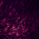 Purple Rising Streaks - VideoHive Item for Sale