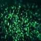 Green Glitter Flares Particles - VideoHive Item for Sale