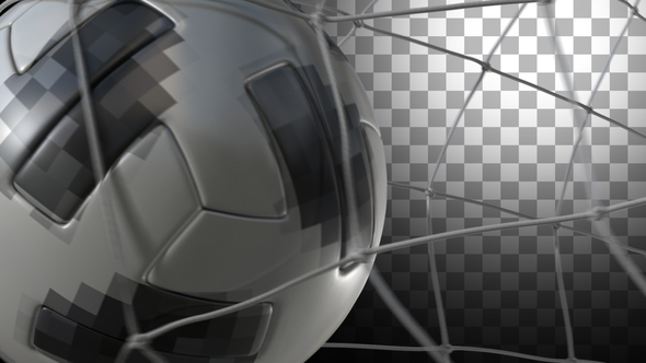 Soccer Ball - Telstar Transitions