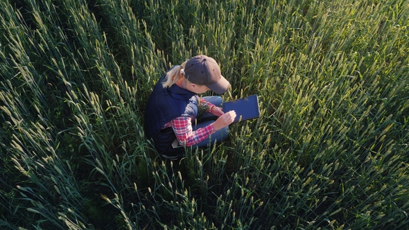 A Female Farmer Is Working in a Field of Still Green Wheat. Uses a Tablet alt
