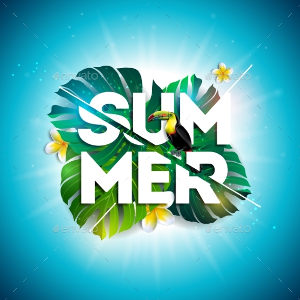Summer Design - Seasons Nature