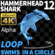 Hammerhead Shark 12 Swims in a Circle-2 - VideoHive Item for Sale