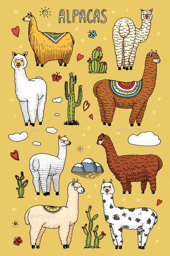 Set of Alpaca Llamas or Wild Guanaco - Animals Characters