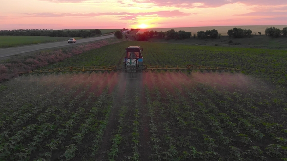 Aerial View of an Irrigated Field Tractor with Fresh, Young Potatoes at Sunset