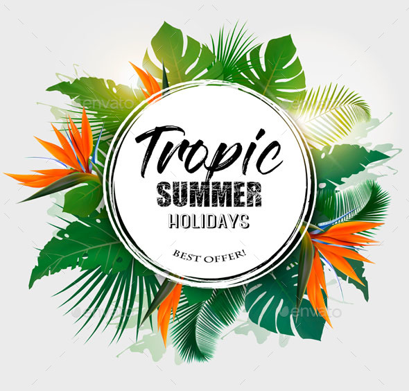 Summer Holiday Background With Tropical Plants - Seasons Nature