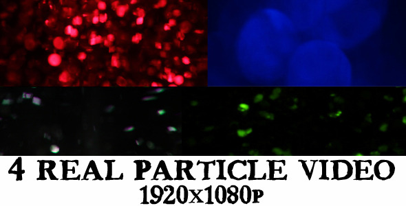 Real Particles (4 Videos)