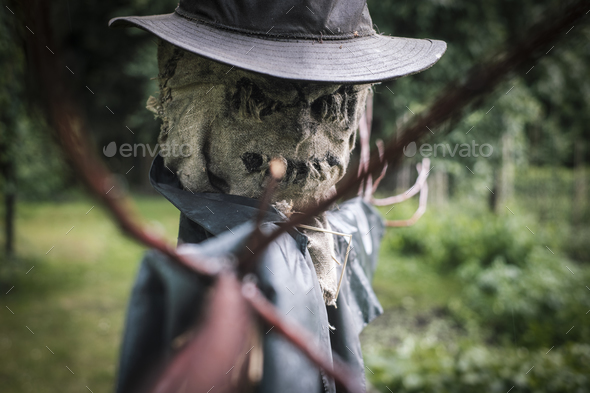 Scary scarecrow in a hat Stock Photo by ivankmit | PhotoDune