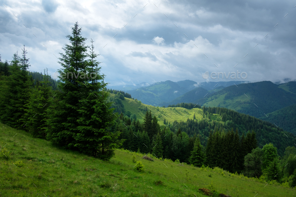 Picturesque summer landscape in sunny day - Stock Photo - Images