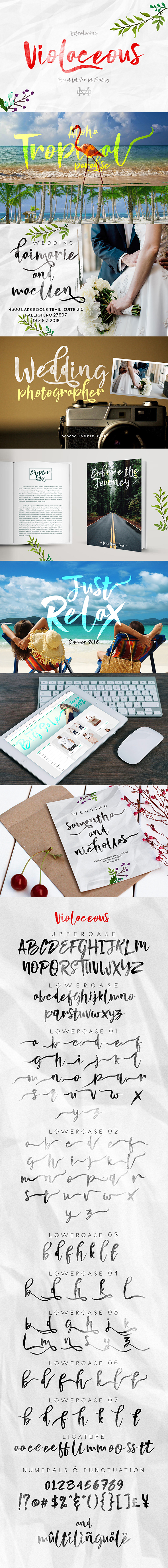 Violaceous - Brush Script - Script Fonts