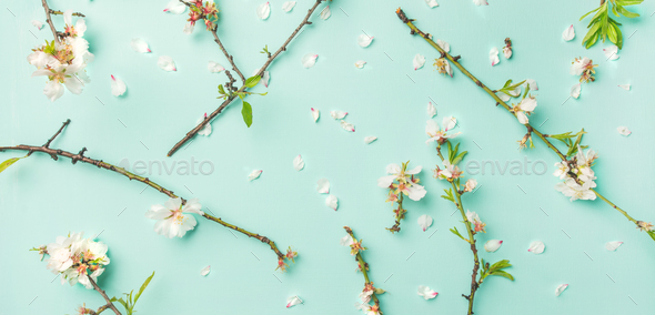 Spring floral background with white almond flowers over blue background - Stock Photo - Images