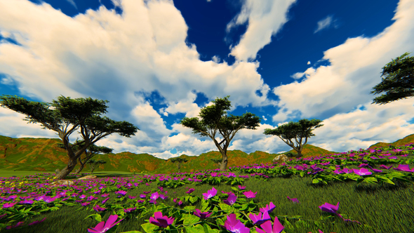 panorama Green Field With Beautiful Flowers