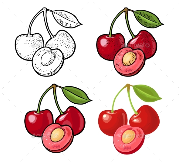 Whole and Half Cherry Berry with Leaf - Food Objects