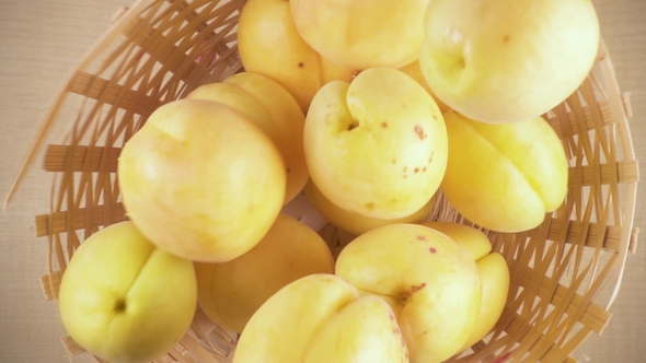 Apricots Fall Into the Basket From Under the Camera