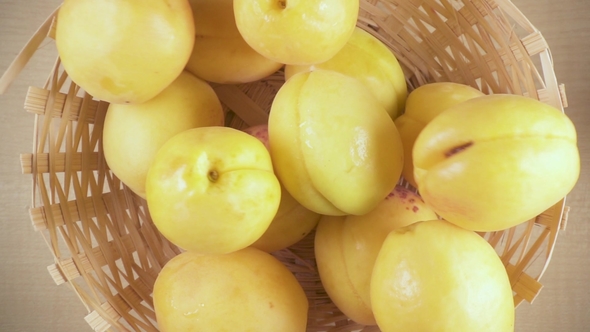 Apricots Fall Into the Basket From Under the Camera