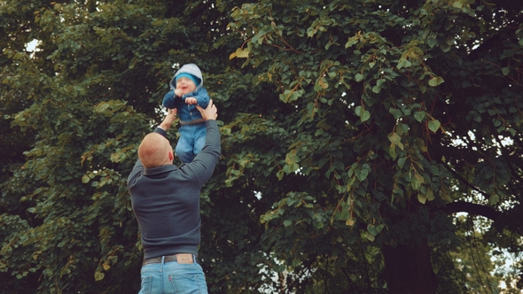 Young Dad Throws His Cute Little Child Near a Large Green Tree alt