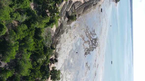 Vertical Video of Low Tide in the Ocean Near the Coast of Zanzibar Tanzania Aerial View alt
