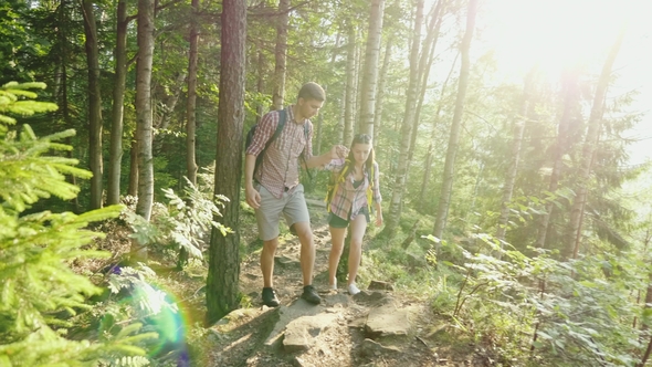 A Young Couple Travels Along a Picturesque Place in the Forest, a Man Helps a Woman To Walk Along alt