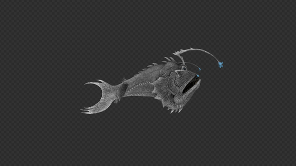 Anglerfish Swim Pack 4 IN1