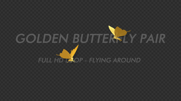 Golden Butterfly - Romantic Pair - Flying Around
