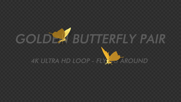 Golden Butterfly - Romantic Pair - Flying Around - 4K