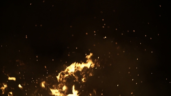 Burning Ash Rise From Large Fire in Black Background, Motion Graphics