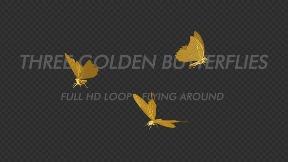 Golden Butterflies - Three Flying Around - Transparent Loop