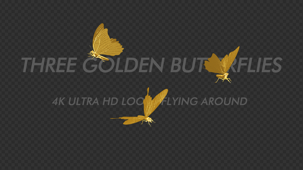Golden Butterflies - Three Flying Around - Transparent Loop - 4K