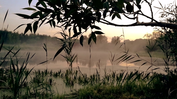 GOMEL, BELARUS. the Mist Spreads Over the Water at Dawn.