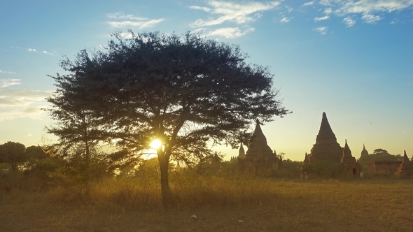 Silhouette of Temples and Tree in Bagan at Sunset alt