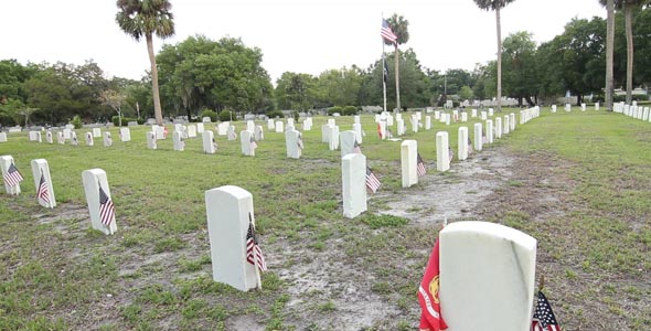 Veteran Graveyard 1