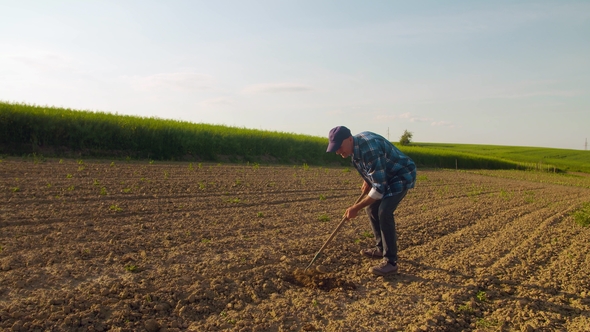 Agricultural Tool Is Hoeing Field, Stock Footage | VideoHive