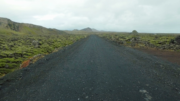 Dirt Road Through Old Lava Field Covered By Moss in Iceland, in Autumn Day, Rainy Weather