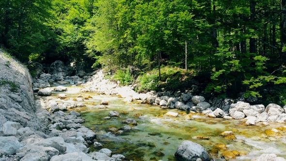 Forest Landscape with a Running Stream, Mountain River and Rocks. alt