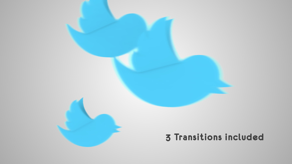 Twitter Transitions