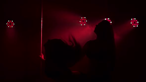 Two Sexy Hot Women Performs Sensual Pole Dance alt