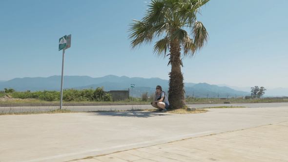 Pretty Girl Rests Near the Palm Tree. Batumi, Georgia alt