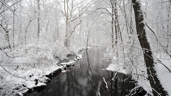 Snowing over the trees and river