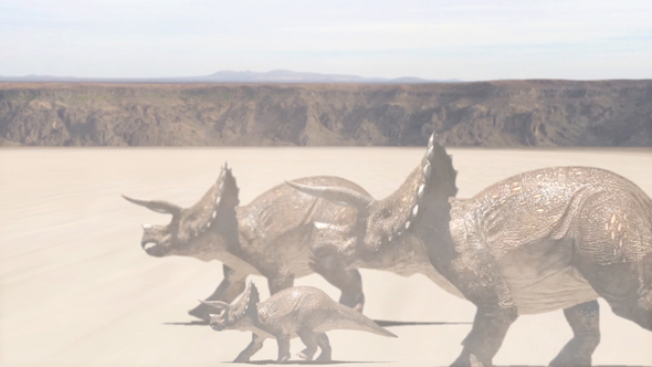 Dinosaur Family is Walking Through the Desert