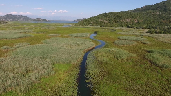 Aerial View of Skadar Lake in Montenegro at Summer alt