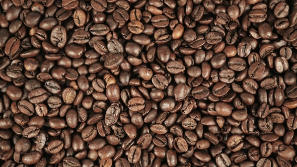 Coffee Beans, Stock Footage | VideoHive