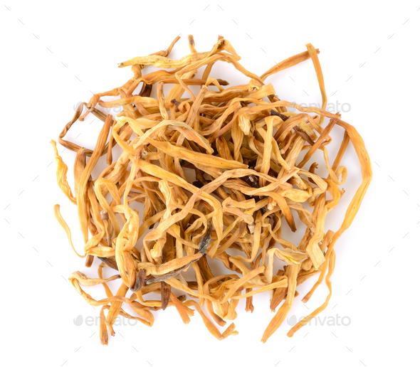 Dried Day Lily on white background