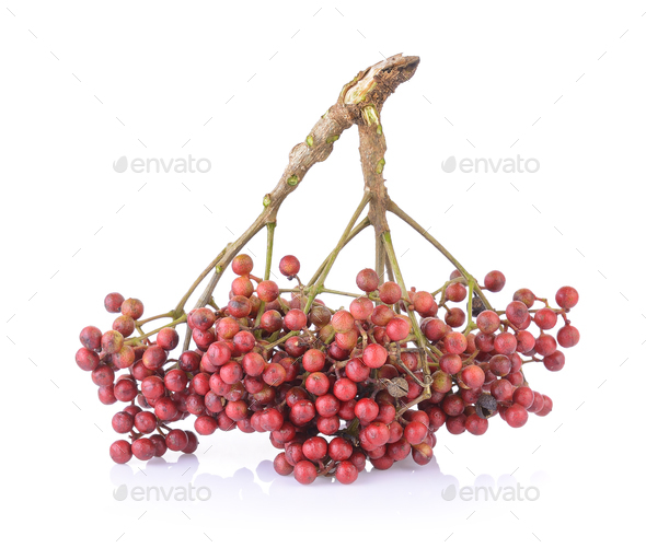 Szechuan pepper (Zanthoxylum piperitum), fruits isolated against - Stock Photo - Images