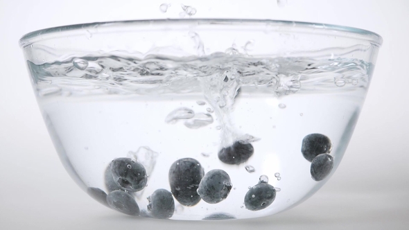 Falling Blueberries Inside Bowl with Water
